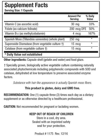 B12/Folate Plus™