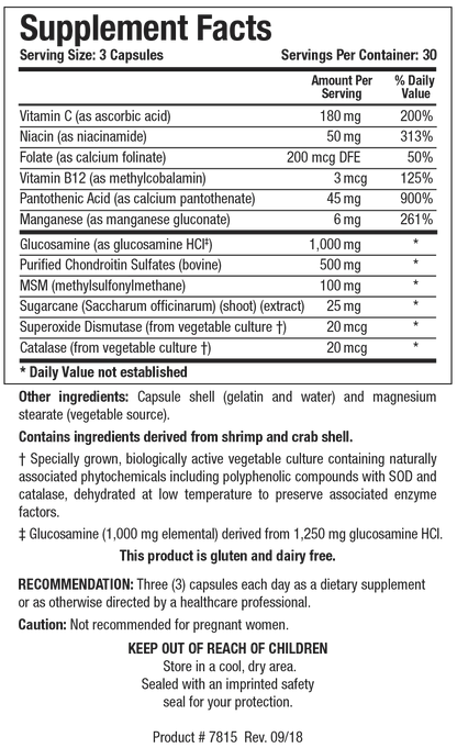 ChondroSamine Plus®